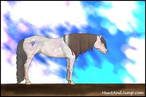Horse Color:Nacre White Spotted Amber Champagne Ice