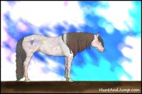 Horse Color:Nacre White Spotted Amber Champagne Ice 