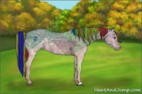Horse Color:Painted Buckskin Ice 