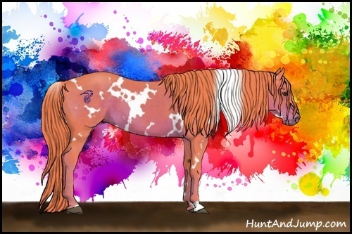 Horse Color:Watercolor White Spotted Liver Chestnut