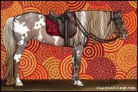 Horse Color:White Spotted Liver Red Roan Appaloosa 