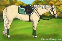 Horse Color:Palomino Dun 