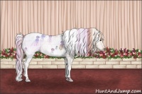 Horse Color:Watercolor White Spotted Chestnut Splash