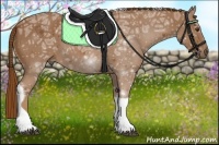 Horse Color:Chestnut Ice Tobiano 