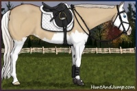 Horse Color:Silver Bay Roan Dun Splash 