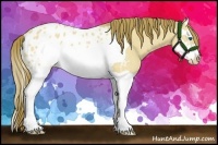 Horse Color:Buckskin Dun Splash Frame Blanket 