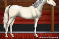 Horse Color:Palomino Pearl Tobiano