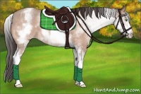 Horse Color:White Spotted Amber Champagne 