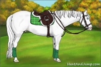 Horse Color:Gold Cream Champagne Roan Pearl Splash 