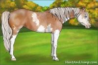 Horse Color:Silver Brown Splash 