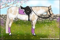 Horse Color:White Spotted Palomino Pearl 