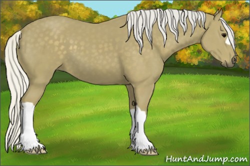Horse Color:Silver Smoky Black 