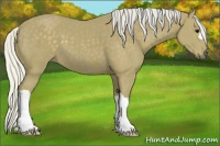 Horse Color:Silver Smoky Black 
