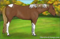 Horse Color:Gray Chestnut Tobiano