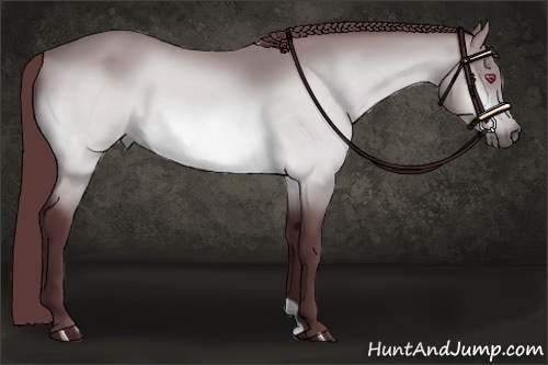 Horse Color:Chocolate Bay Chinchilla 