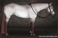 Horse Color:Chocolate Bay Chinchilla 