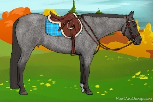 Horse Color:Smoky Blue Roan