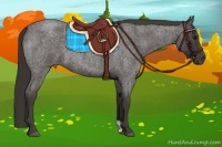 Horse Color:Smoky Blue Roan