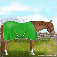 Horse Color:Chestnut Blanket 