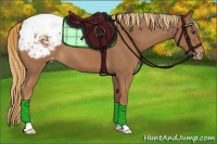 Horse Color:Red Roan Appaloosa 