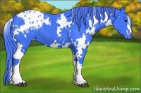 Horse Color:Watercolor White Spotted Black Blanket 