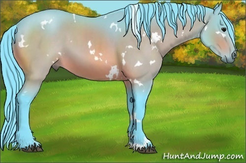 Horse Color:Watercolor White Spotted Bay