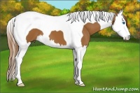 Horse Color:Chestnut Splash Tobiano 