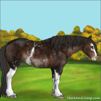 Horse Color:White Spotted Liver Chestnut Ice Sabino 