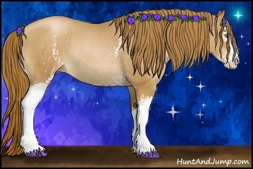 Horse Color:White Spotted Chestnut Pearl Sabino Rabicano 