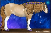 Horse Color:White Spotted Chestnut Pearl Sabino Rabicano
