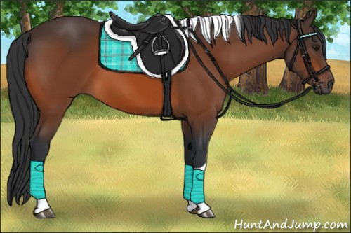 Horse Color:Bay Tobiano