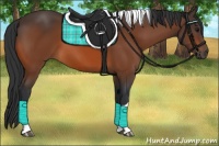 Horse Color:Bay Tobiano 