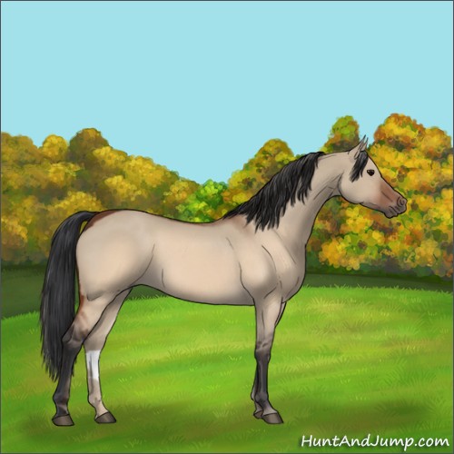 Horse Color:Brown Roan Dun 