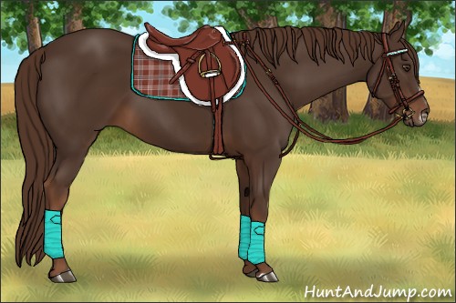Horse Color:Liver Chestnut Frame