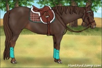 Horse Color:Liver Chestnut Frame 