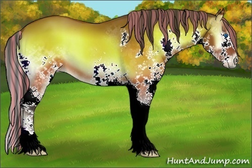Horse Color:Painted Brown Onyx Splash 