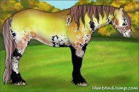 Horse Color:Painted Brown Onyx Splash