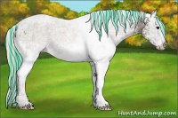 Horse Color:Painted White Spotted Silver Black 