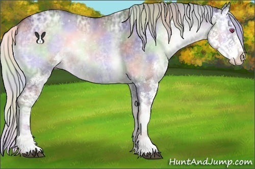 Horse Color:Nacre Silver Blue Onyx Chinchilla Ice Sabino