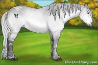 Horse Color:Silver Brown Chinchilla Ice