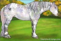 Horse Color:Nacre White Spotted Silver Brown Chinchilla Ice Sabino 