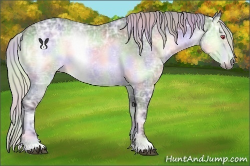 Horse Color:Nacre Silver Brown Chinchilla Ice Onyx 