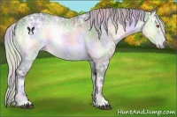Horse Color:Nacre Silver Brown Chinchilla Ice Onyx