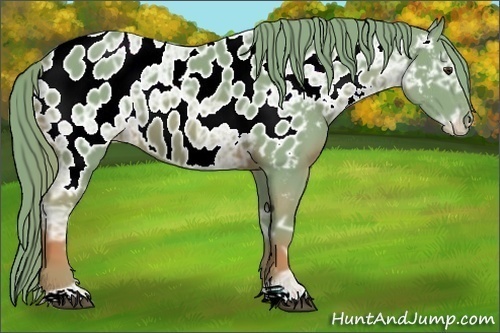 Horse Color:Watercolor Chestnut Ice Near Leopard