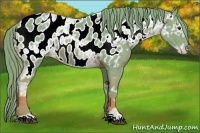 Horse Color:Watercolor Chestnut Ice Near Leopard 