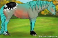Horse Color:Watercolor Brown Appaloosa 