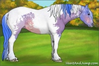 Horse Color:Watercolor Bay Tobiano 