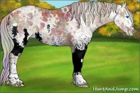 Horse Color:Nacre Silver Brown Ice Splash 