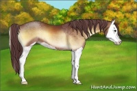 Horse Color:Chocolate Bay Onyx Splash 