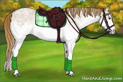 Horse Color:White Spotted Red Dun Ice Roan Splash 